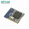 SKYLAB hot sale low power BLE 5.0 bluetooth mesh Nordic nRF52840 transceiver bluetooth module for Beacon